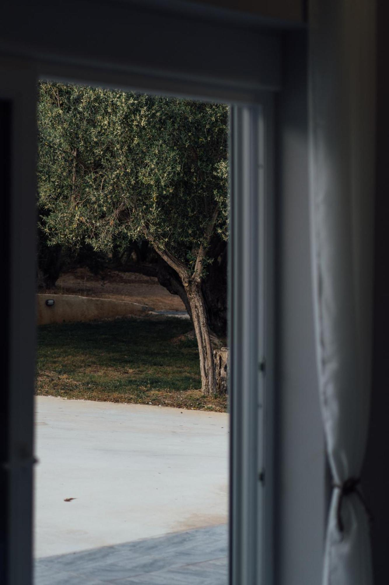 Blue Waves Luxury Suites By The Sea Plomari Exterior foto